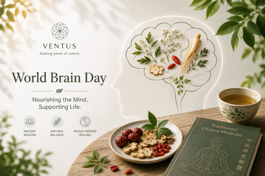 World Brain Day: Supporting Brain Health Through Traditional Chinese Medicine