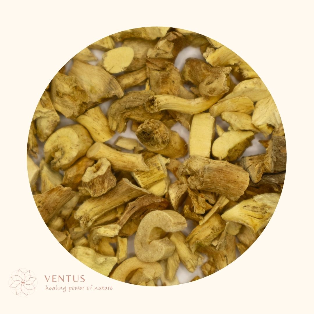 BAI XIAN PI - 白鲜皮