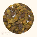 LIAN QIAO - Forsythia