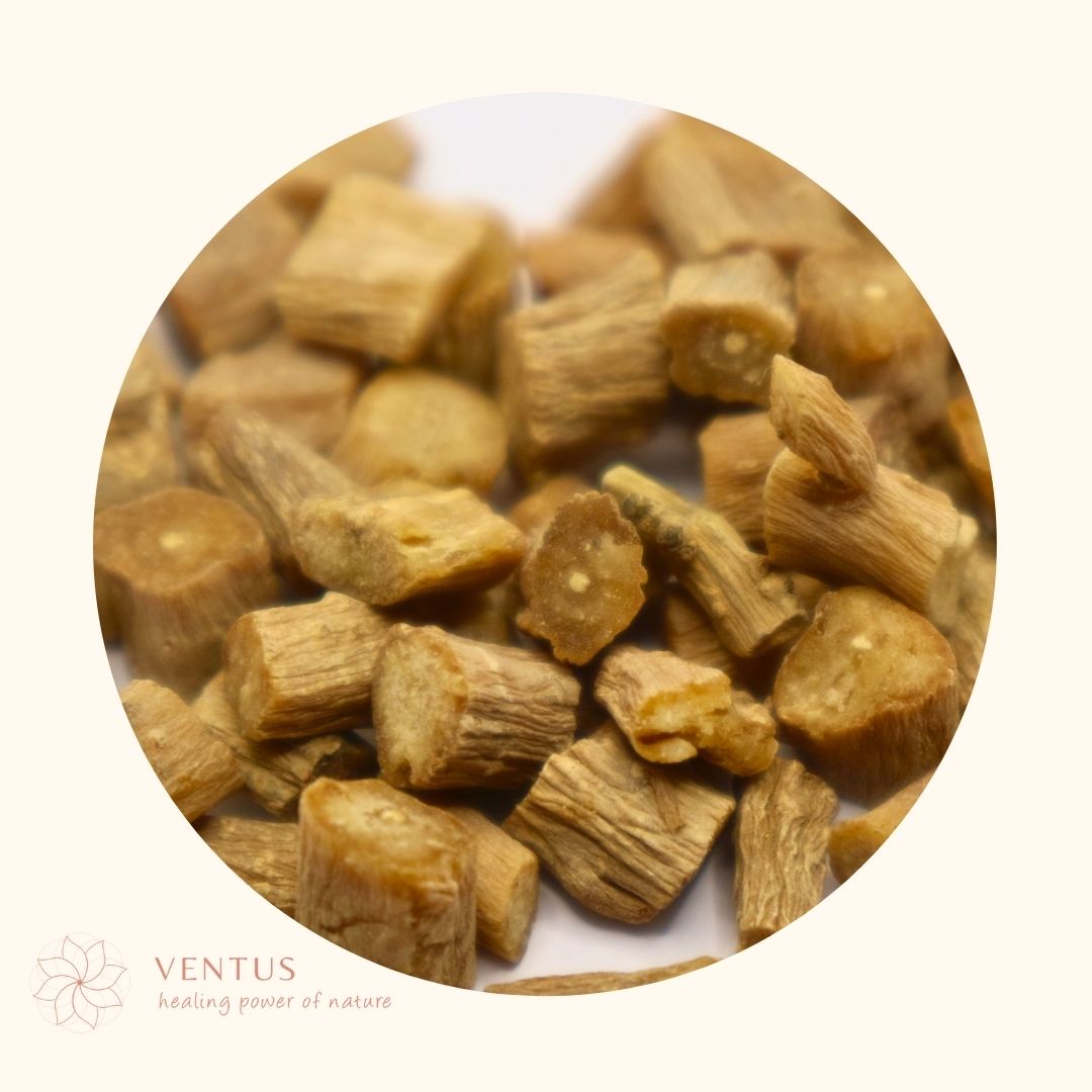 NIU XI (HUAI) - 怀牛膝
