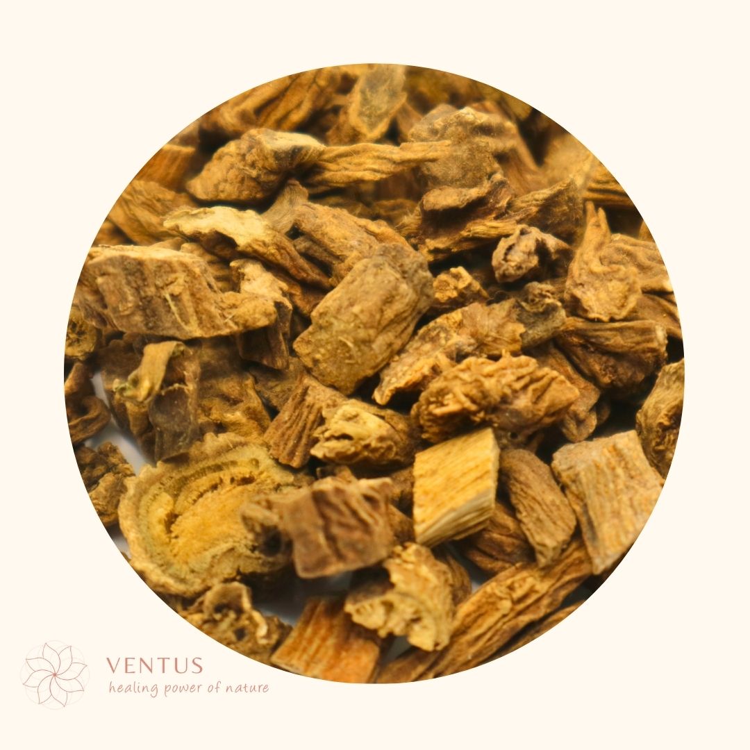 XU DUAN - 续断 - VentusClinicals Chinese Herbs
