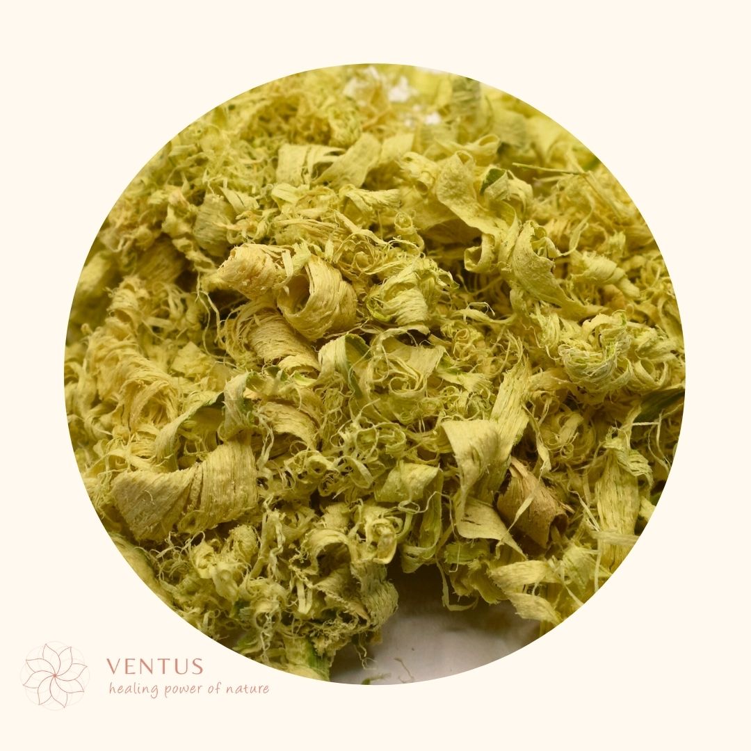 ZHU RU (ZHA) - 竹茹